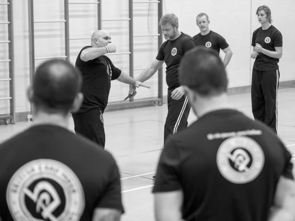 pic training krav maga